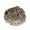 Plato Hondo de Porcelana 23x20cm Reef Marine Tognana Profesional